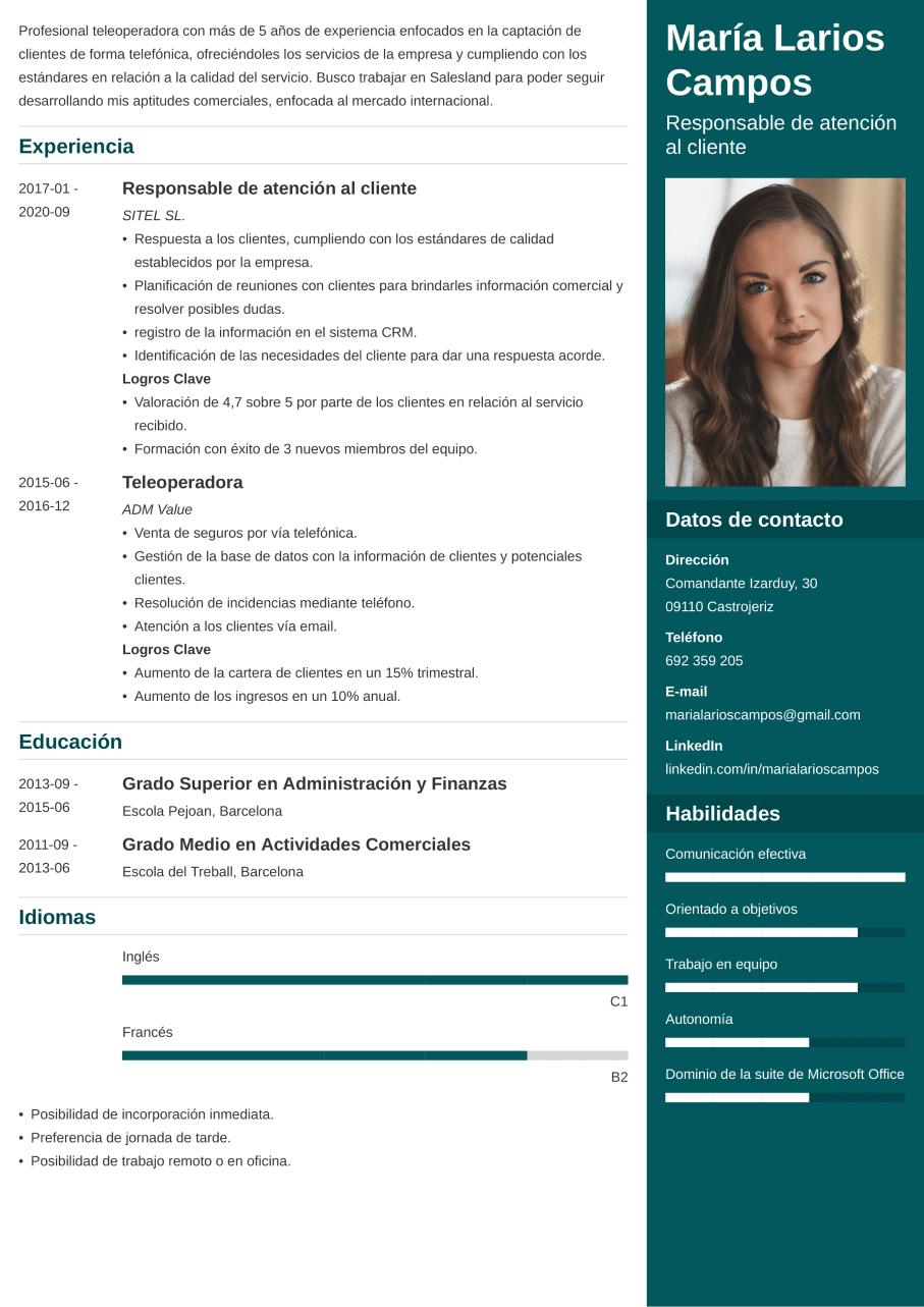 curriculum vitae en word